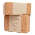 Cork Yoga Block Set by Ananday