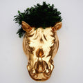 Greek Gold Gilded Wall Planter by Blak Hom