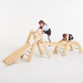 5in1 Montessori Climbing Set: Triangle Ladder + Climbing Arch + Slide Board + Climbing Net + Art Addition by Goodevas