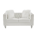 Velvet Upholstery Tufted Sofa With Crystal Feet and Removable Cushion by Blak Hom