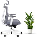 AeryChair - Ergonomic Chair by EFFYDESK