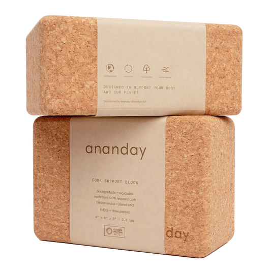 Cork Yoga Block Set by Ananday