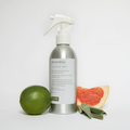 Sage & Citrus Mat Cleaner (Spray) by Ananday