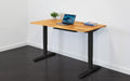 TerraDesk | Eco-Friendly Height-Adjustable Electric Standing Desk by EFFYDESK