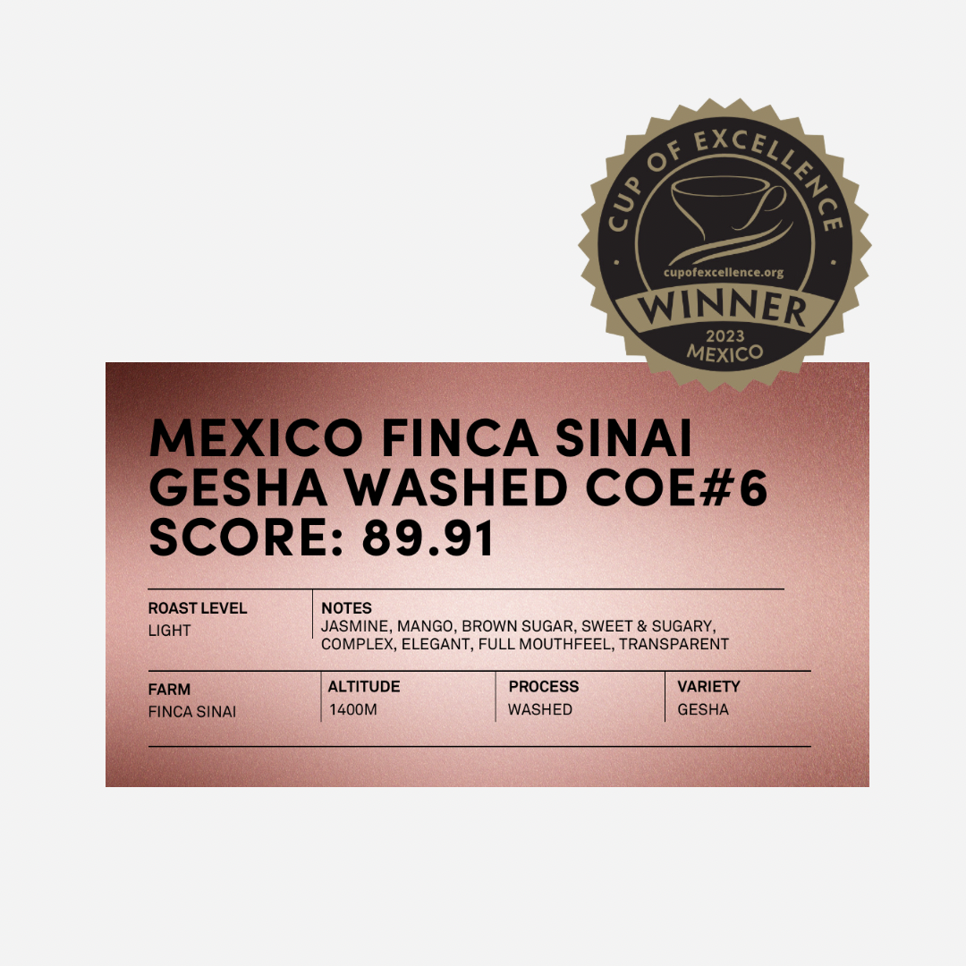 Mexico Cup of Excellence #6 Finca Sinai Gesha Washed [Score 89.91] by Bean & Bean Coffee Roasters