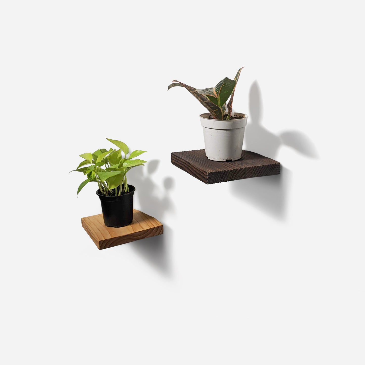 Chopped plant shelf by Formr