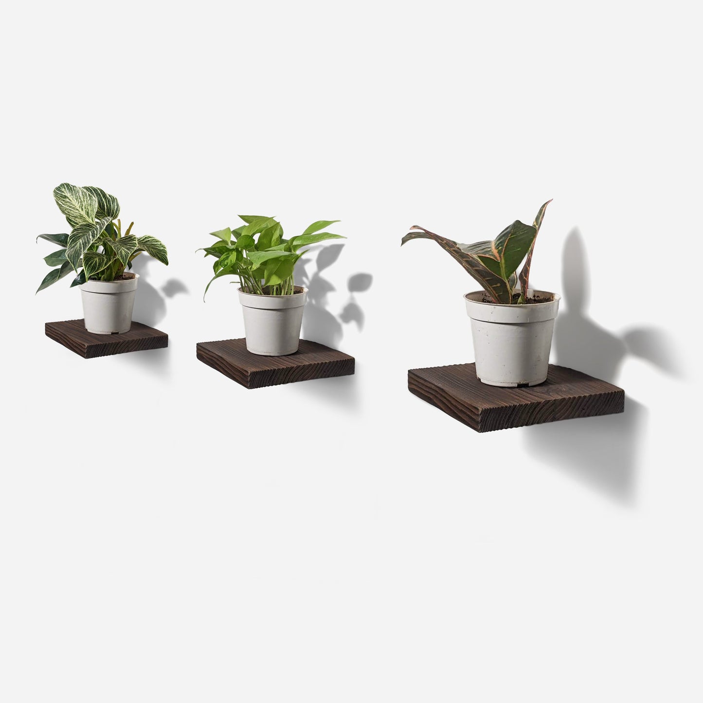 Chopped plant shelf by Formr