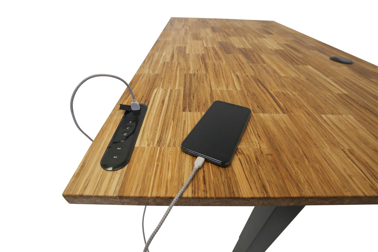 TerraDesk | Eco-Friendly Height-Adjustable Electric Standing Desk by EFFYDESK