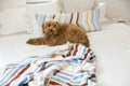 Cusco Lightweight Throw by Sunday Citizen
