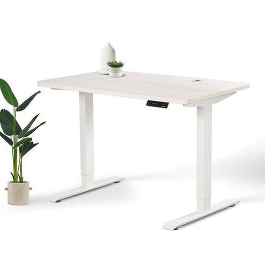 Home Office Standing Desk by EFFYDESK by Level Up Desks