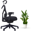 KaiChair - Ergonomic Office Chair by EFFYDESK