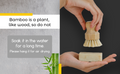 Bamboo Sisal Fiber Dish Brush by Choixe