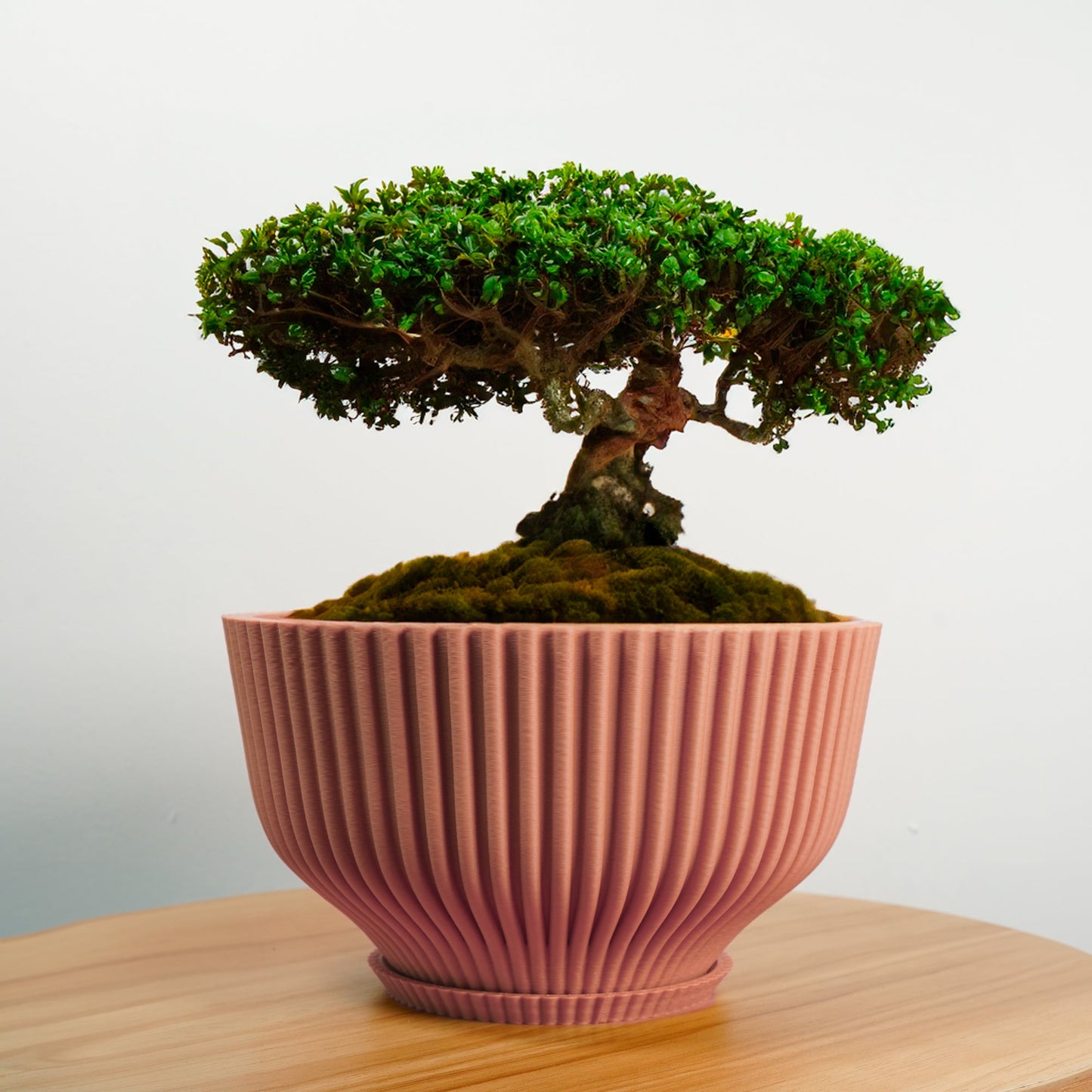 Bonsai Pot with Drainage and Saucer, Succulent Arrangement Planter Pot Unique, Cacti and House Plant Planter, Lightweight Wide Bowl by Rosebud HomeGoods