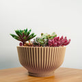 Bonsai Pot with Drainage and Saucer, Succulent Arrangement Planter Pot Unique, Cacti and House Plant Planter, Lightweight Wide Bowl by Rosebud HomeGoods