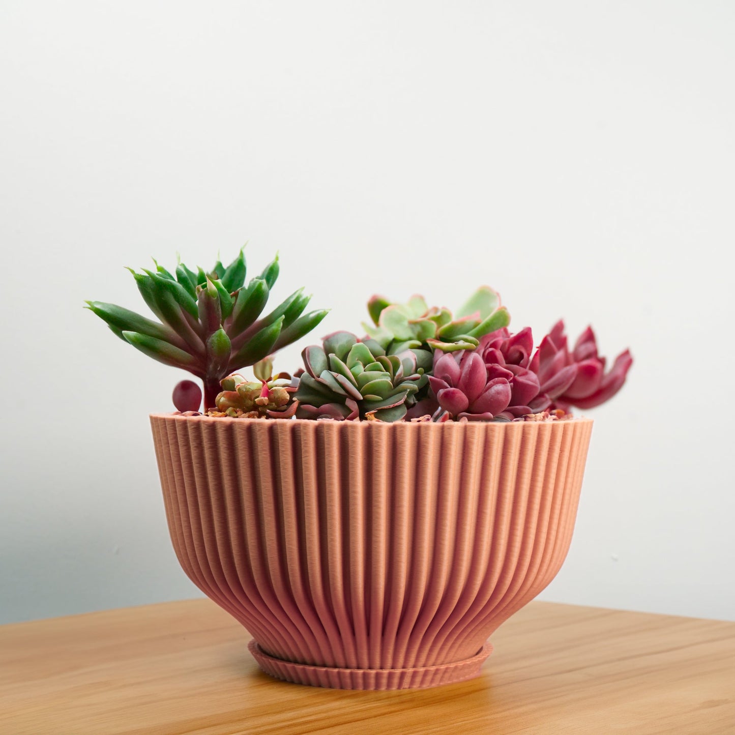 Bonsai Pot with Drainage and Saucer, Succulent Arrangement Planter Pot Unique, Cacti and House Plant Planter, Lightweight Wide Bowl by Rosebud HomeGoods