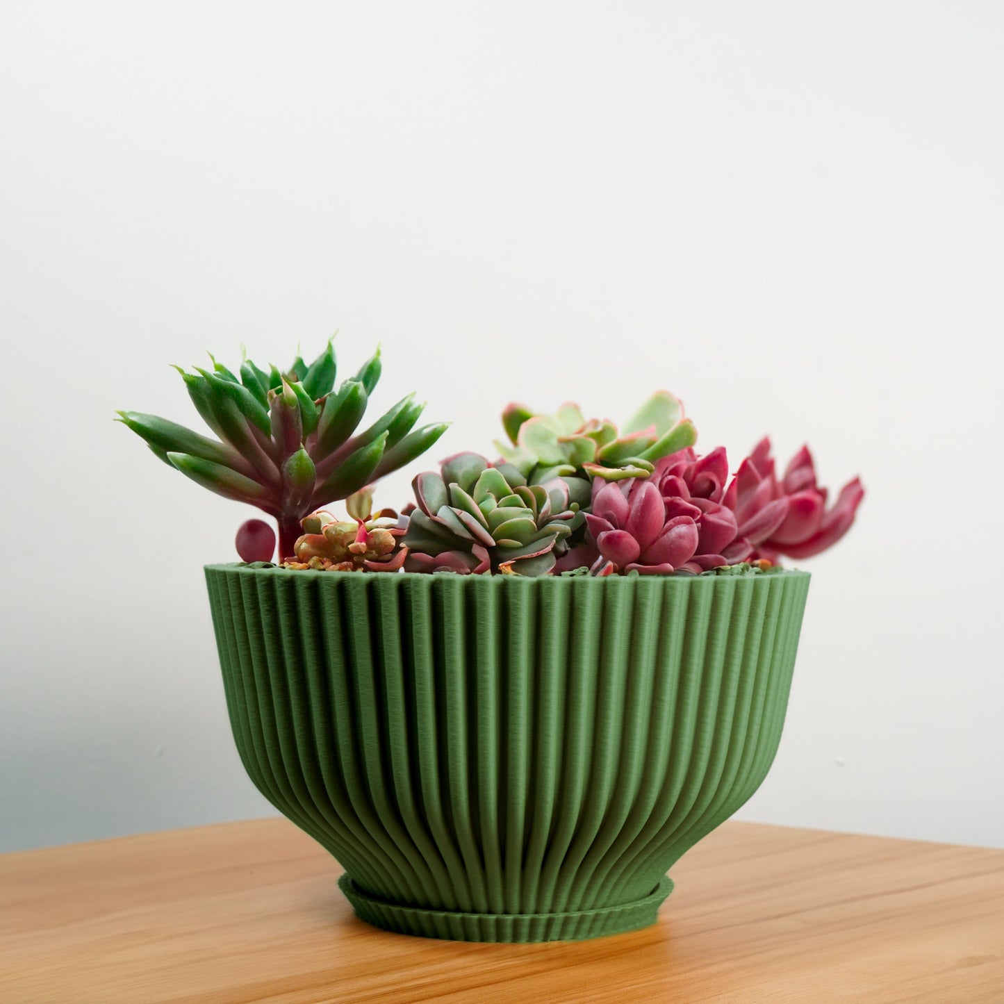 Bonsai Pot with Drainage and Saucer, Succulent Arrangement Planter Pot Unique, Cacti and House Plant Planter, Lightweight Wide Bowl by Rosebud HomeGoods