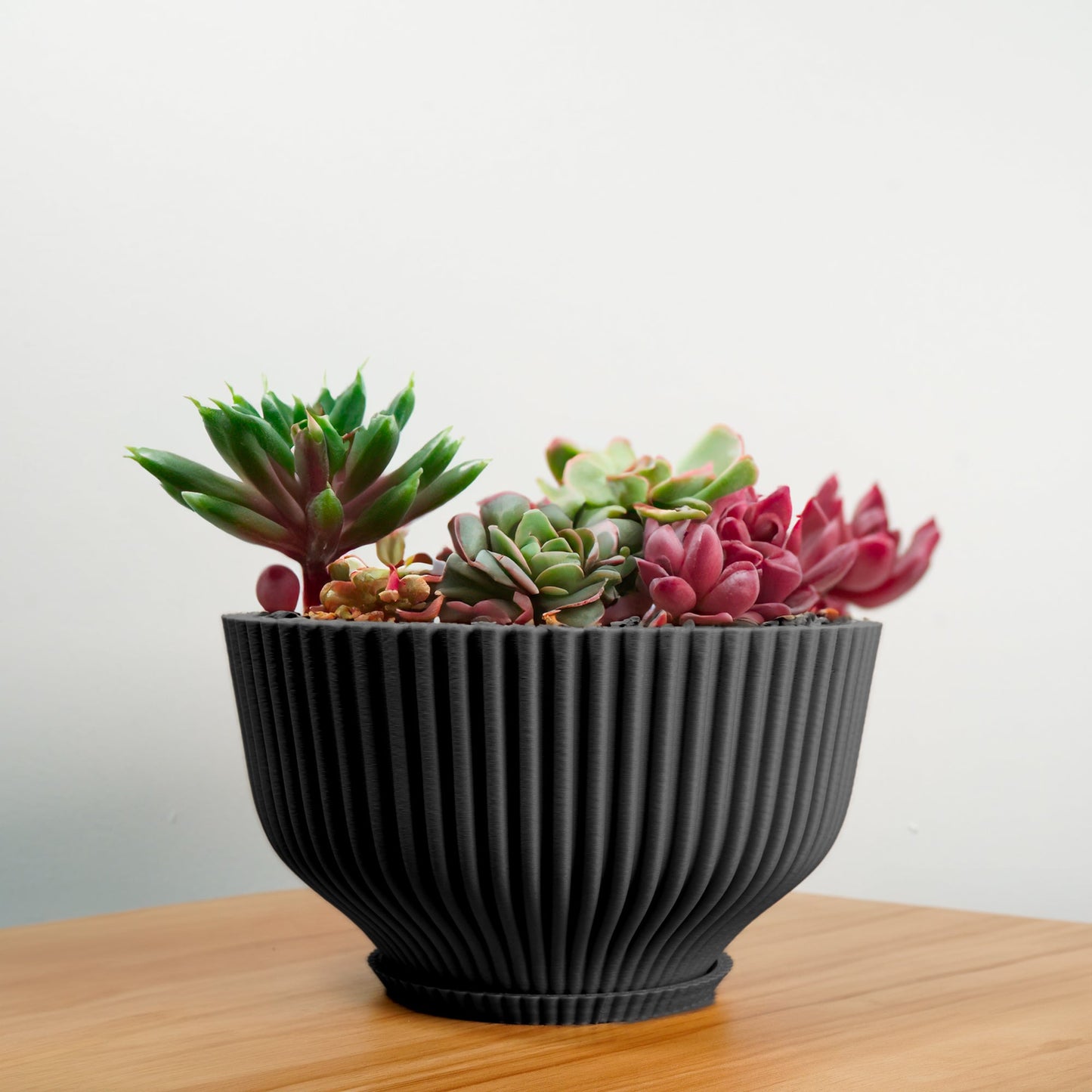 Bonsai Pot with Drainage and Saucer, Succulent Arrangement Planter Pot Unique, Cacti and House Plant Planter, Lightweight Wide Bowl by Rosebud HomeGoods