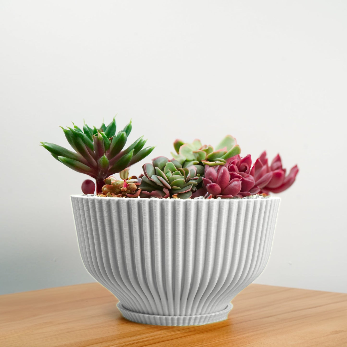 Bonsai Pot with Drainage and Saucer, Succulent Arrangement Planter Pot Unique, Cacti and House Plant Planter, Lightweight Wide Bowl by Rosebud HomeGoods