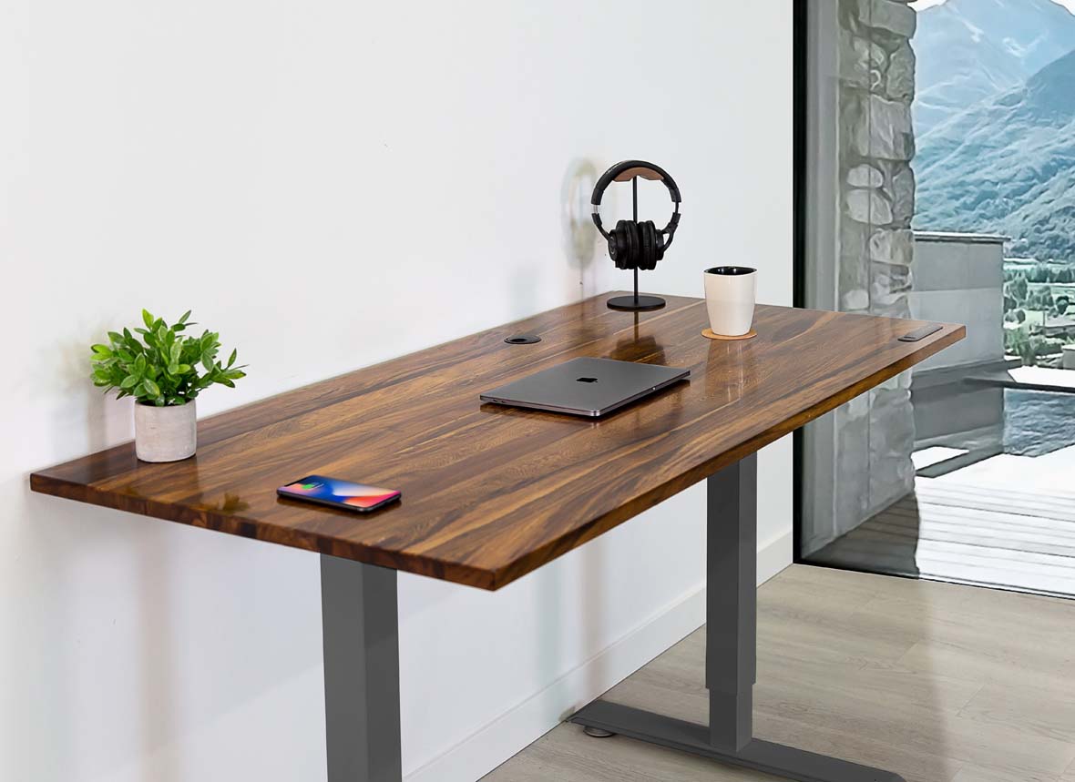 Home Office Standing Desk by EFFYDESK