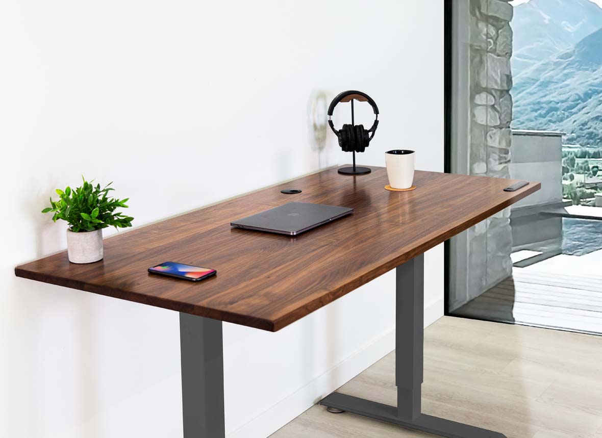 Home Office Standing Desk by EFFYDESK