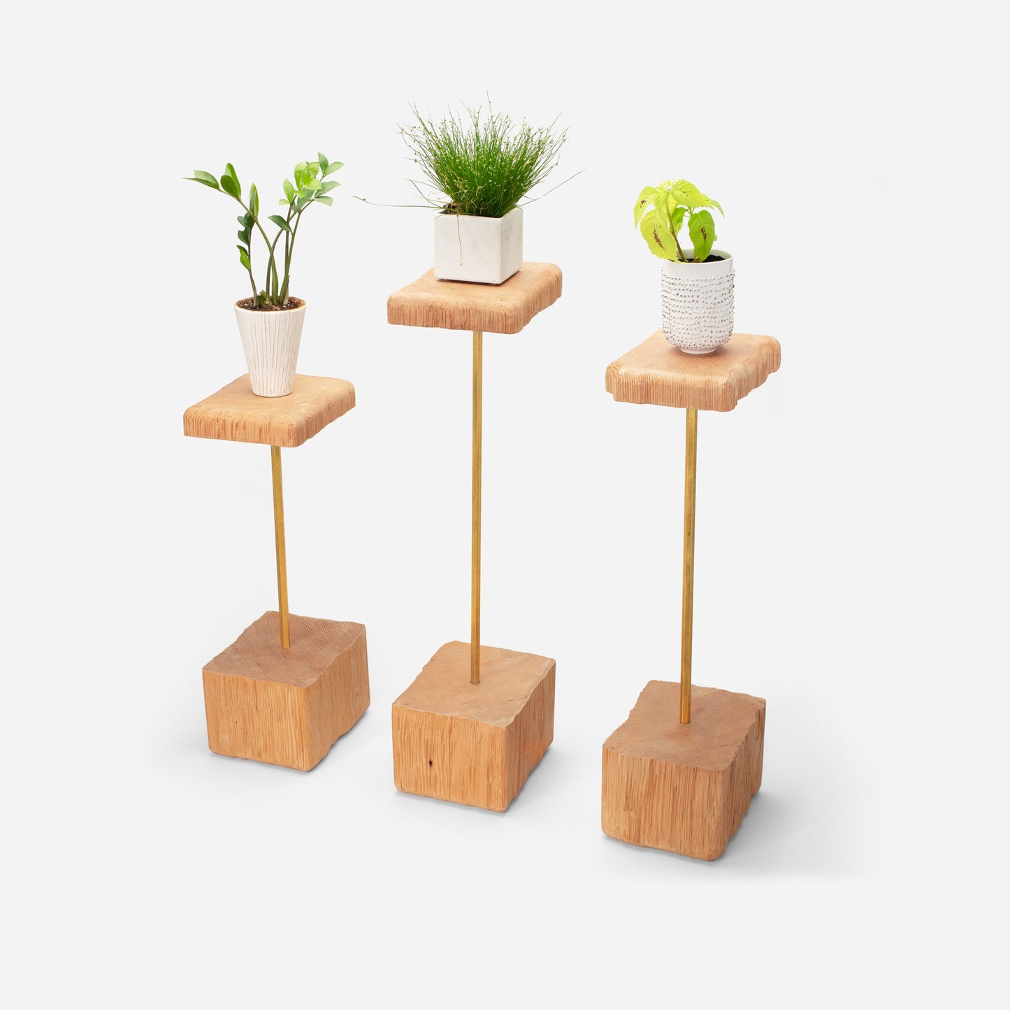 Stem plant holder by Formr