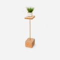 Stem plant holder by Formr