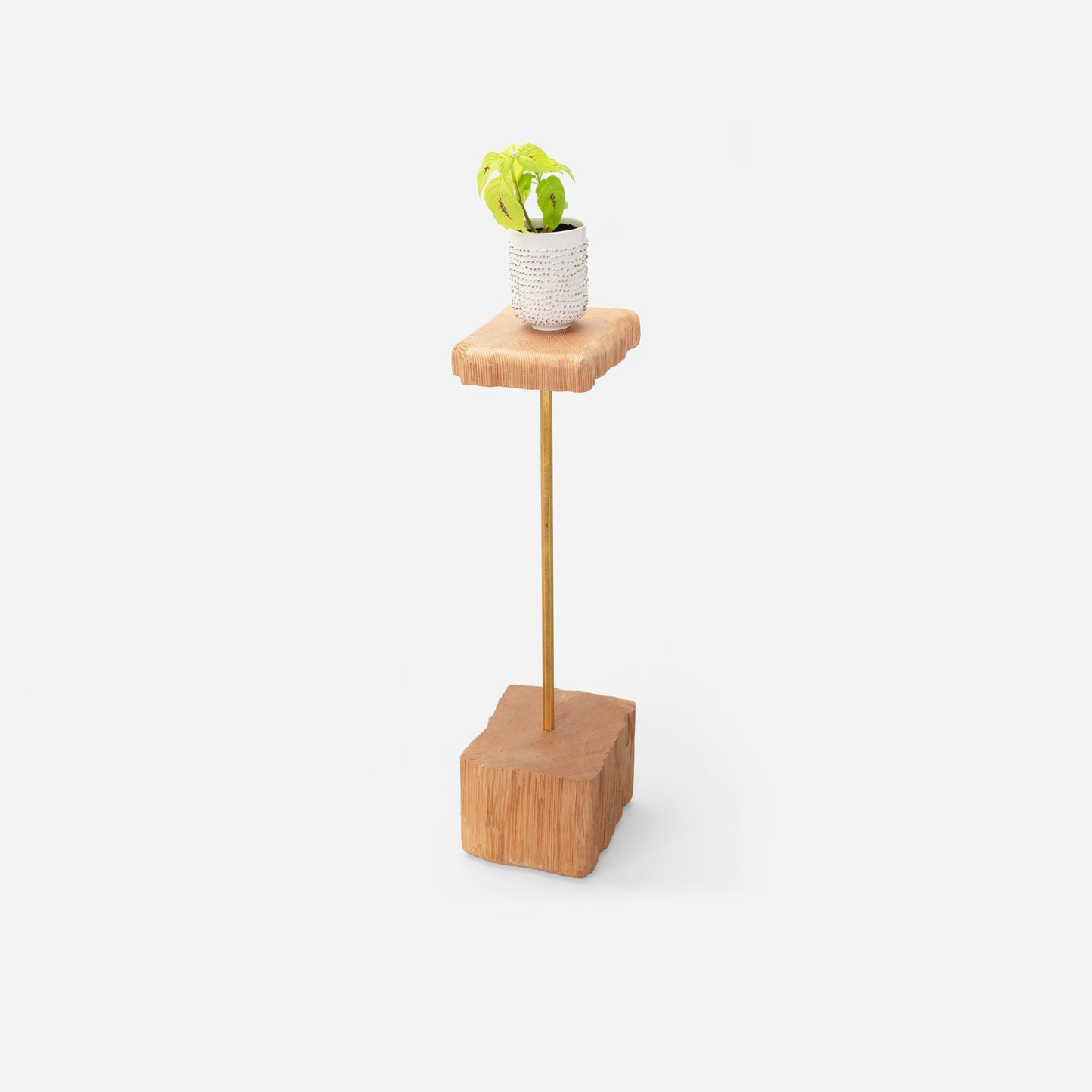 Stem plant holder by Formr