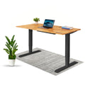 TerraDesk | Eco-Friendly Height-Adjustable Electric Standing Desk by EFFYDESK