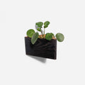 Triangle wall planted planter by Formr