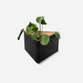 Triangle wall planted planter by Formr