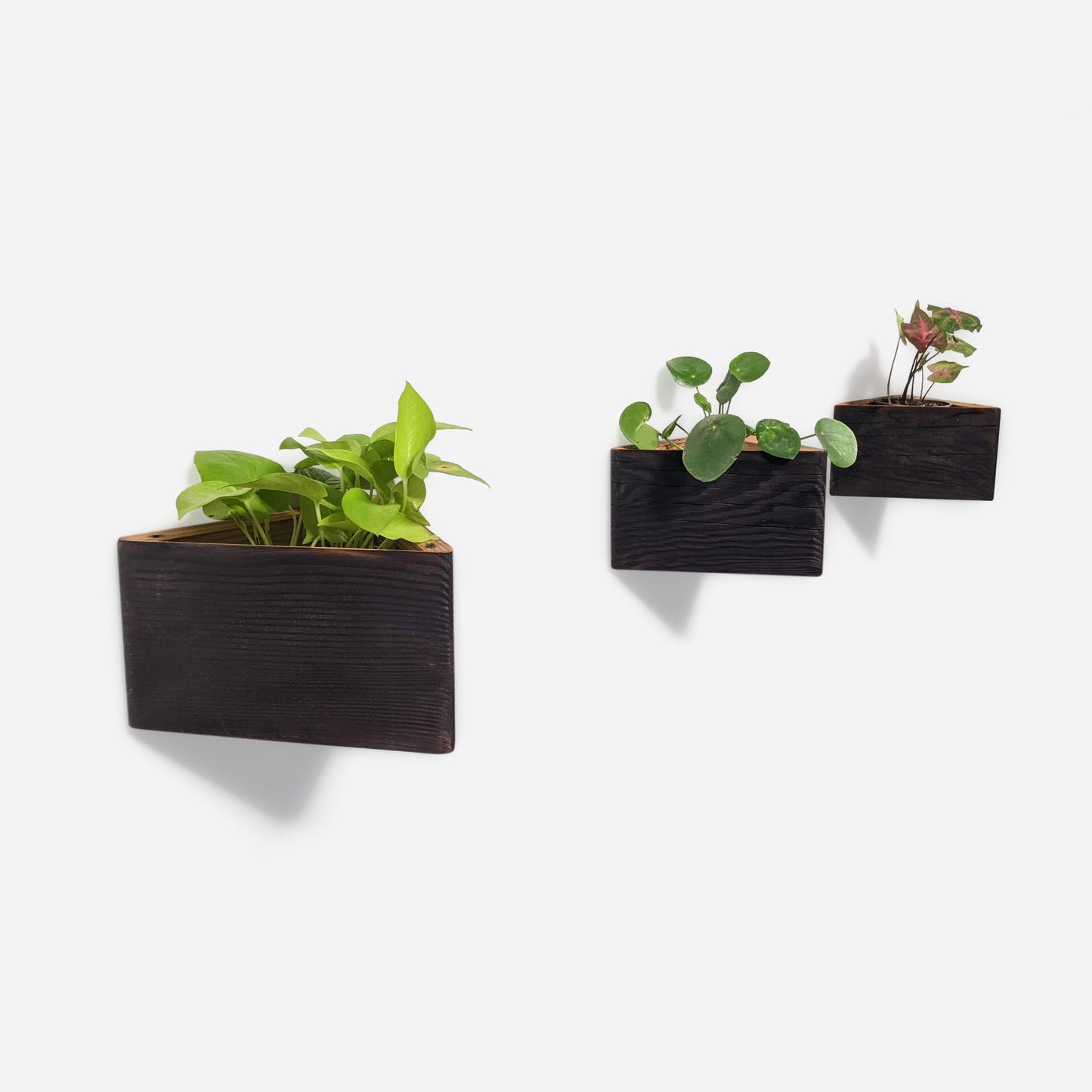 Triangle wall planted planter by Formr