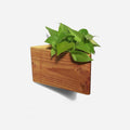 Triangle wall planted planter by Formr