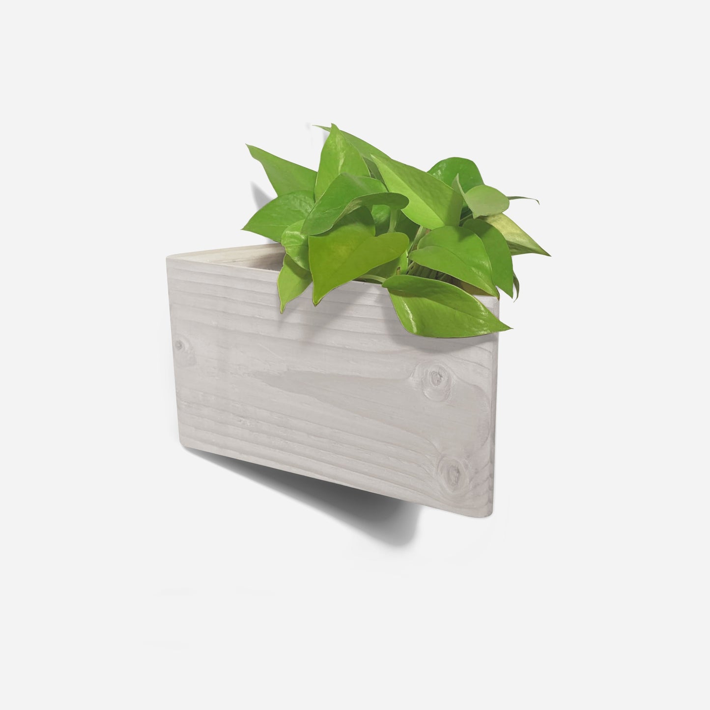 Triangle wall planted planter by Formr