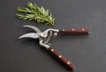 Thai Kitchen and Garden Shears by Verve Culture