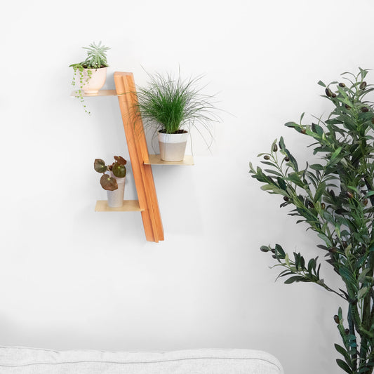 Wallflower plant shelf by Formr