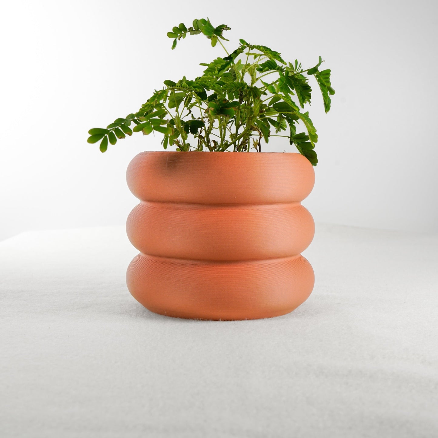 Bubble Planter by Rosebud HomeGoods