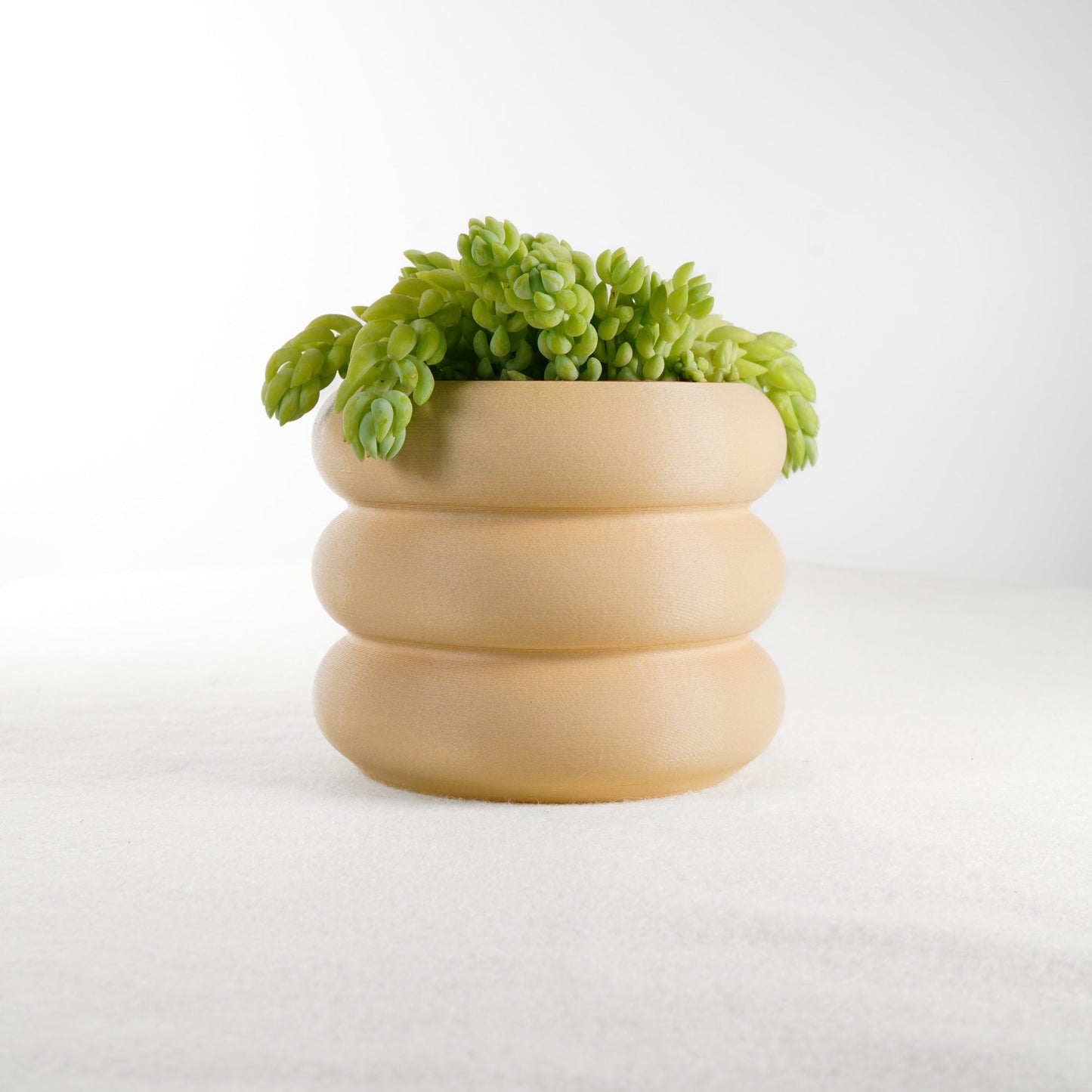 Bubble Planter by Rosebud HomeGoods