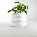 Bubble Planter by Rosebud HomeGoods