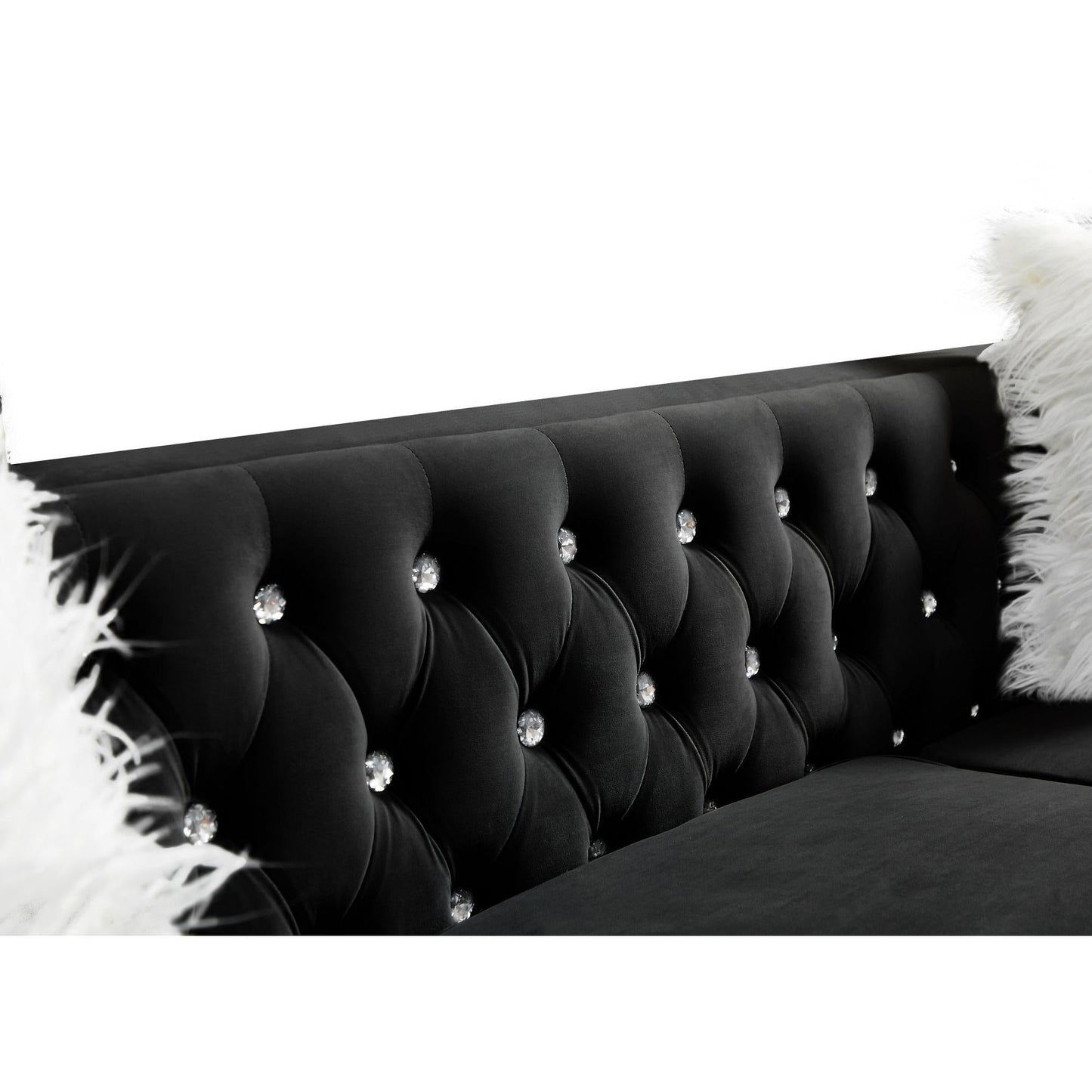 Velvet Upholstery Tufted Sofa With Crystal Feet and Removable Cushion by Blak Hom