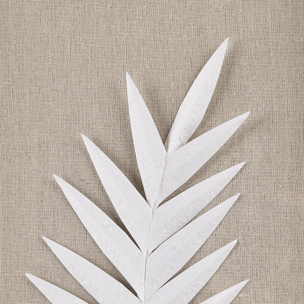 Framed Rice Paper Palm Leaves 3-piece Shadowbox Wall Decor by Blak Hom