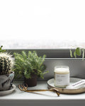 Fern + Moss Minimalist Candle by Brooklyn Candle Studio