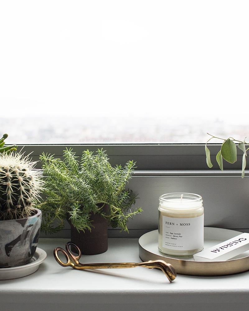 Fern + Moss Minimalist Candle by Brooklyn Candle Studio