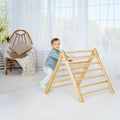 Indoor Montessori Triangle Climbing Ladder for Toddlers 1-7 y.o. by Goodevas