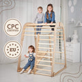 Indoor Wooden Playground for Children - 6in1 Playground + Swings Set + Slide Board by Goodevas