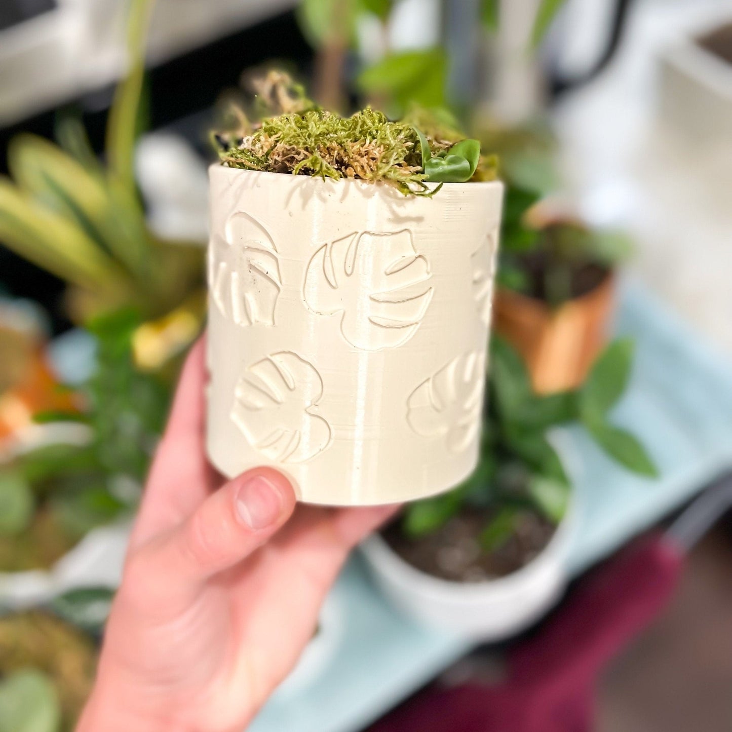 Monstera Leaf Planter by Rosebud HomeGoods