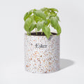 Terrazzo Plantable Candle by Esker