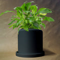 Round Planter by Rosebud HomeGoods