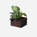 Diamond self-watering, wall-mounted planter by Formr