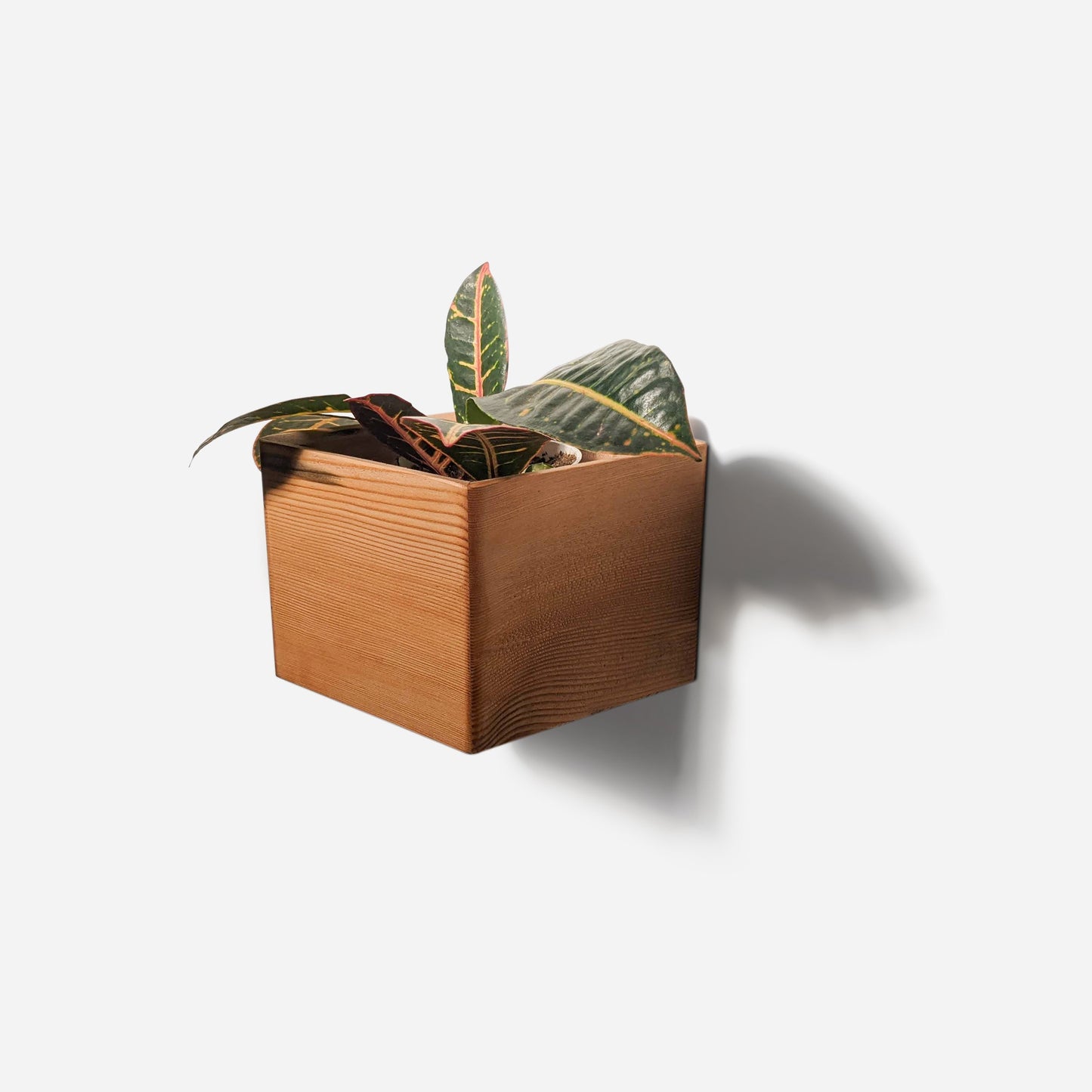 Diamond self-watering, wall-mounted planter by Formr