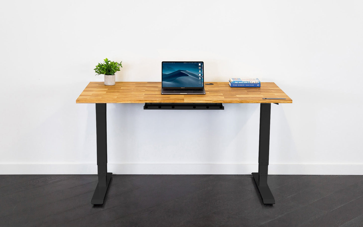 TerraDesk | Eco-Friendly Height-Adjustable Electric Standing Desk by EFFYDESK